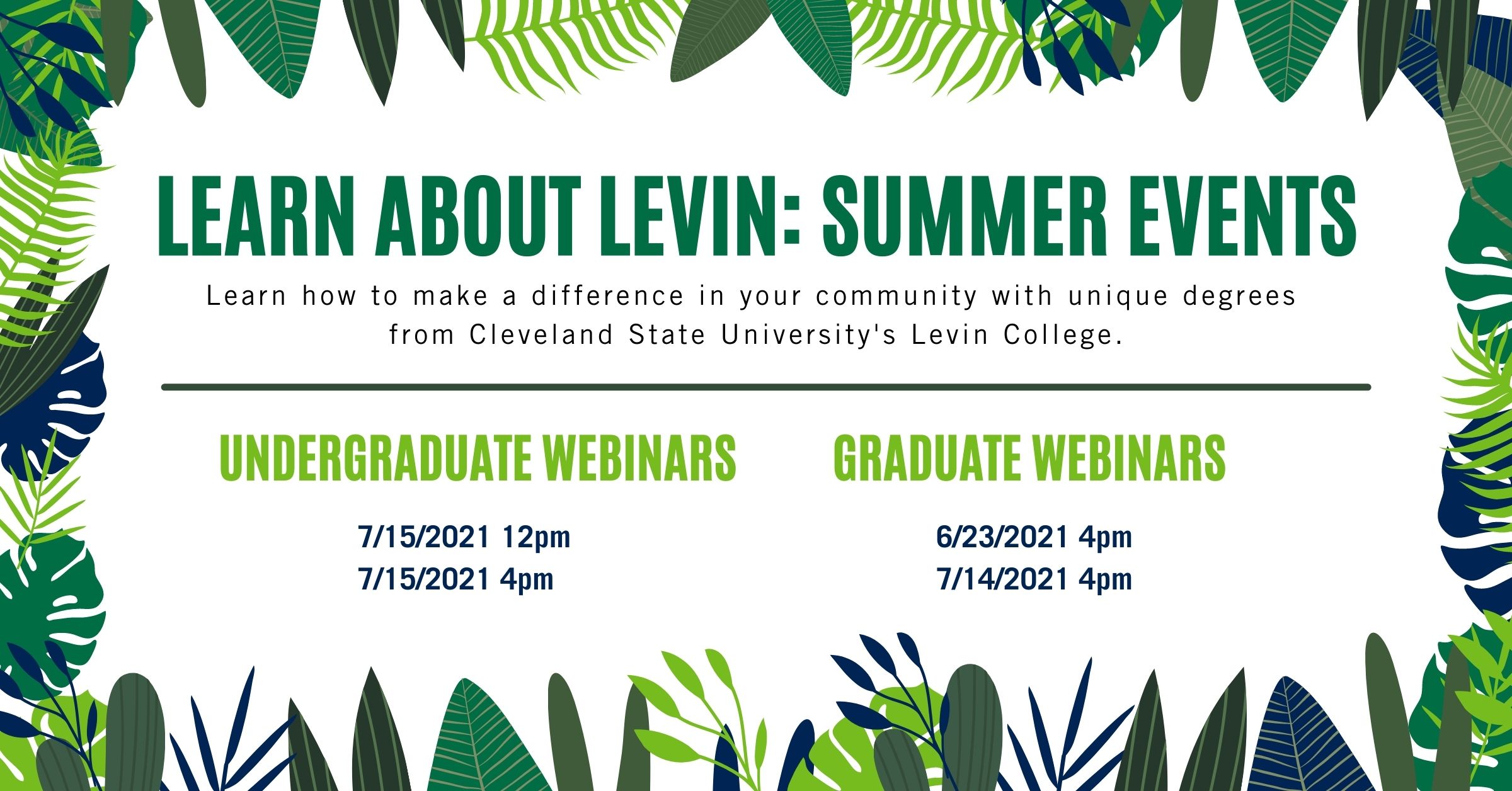 Levin Summer Webinars