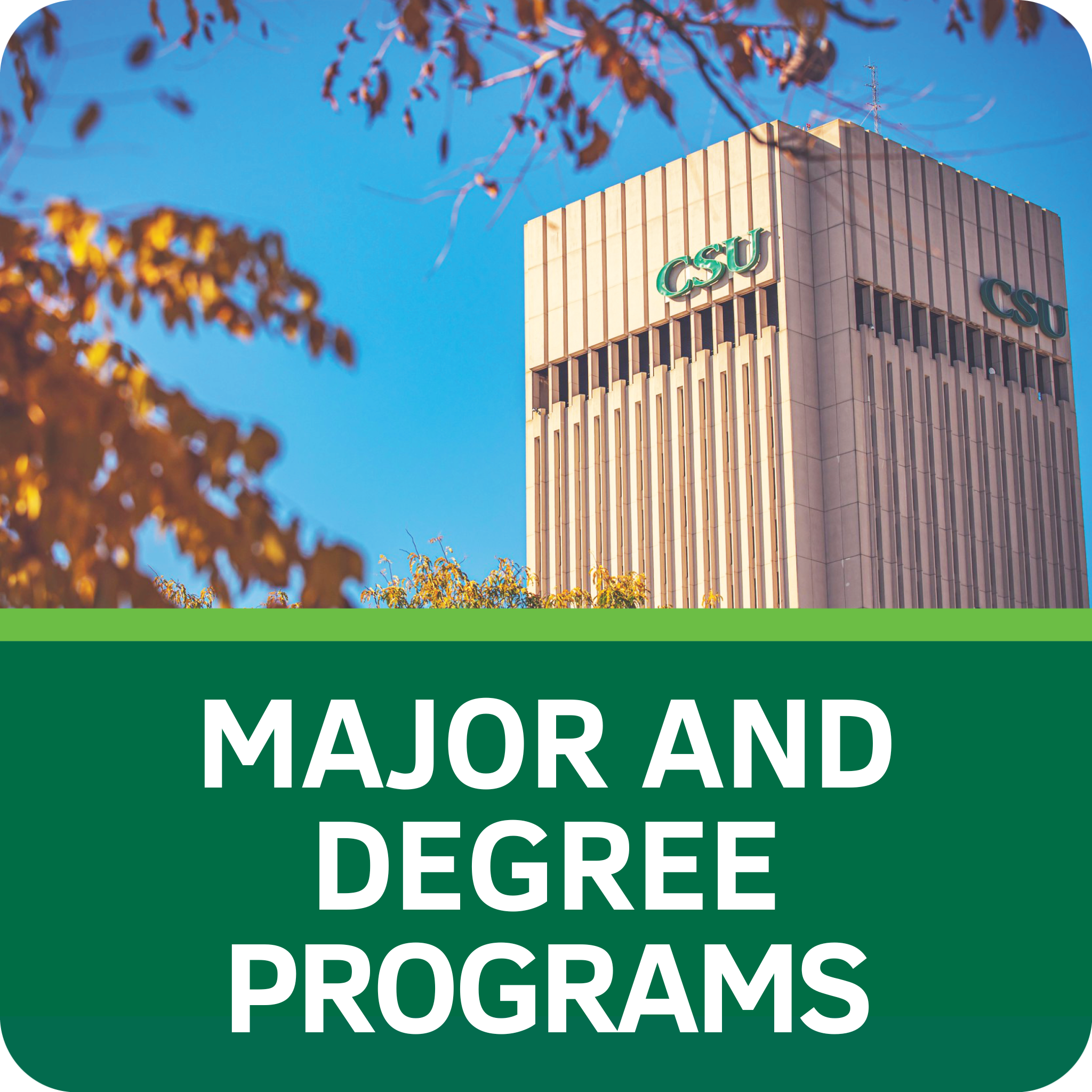 Major and Degree Programs