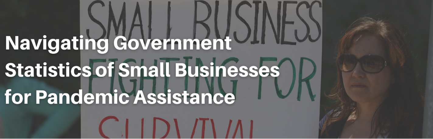 Navigating Government Statistics of Small Businesses for Pandemic Assistance