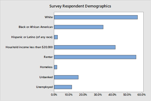 Survey Respondent Demographics