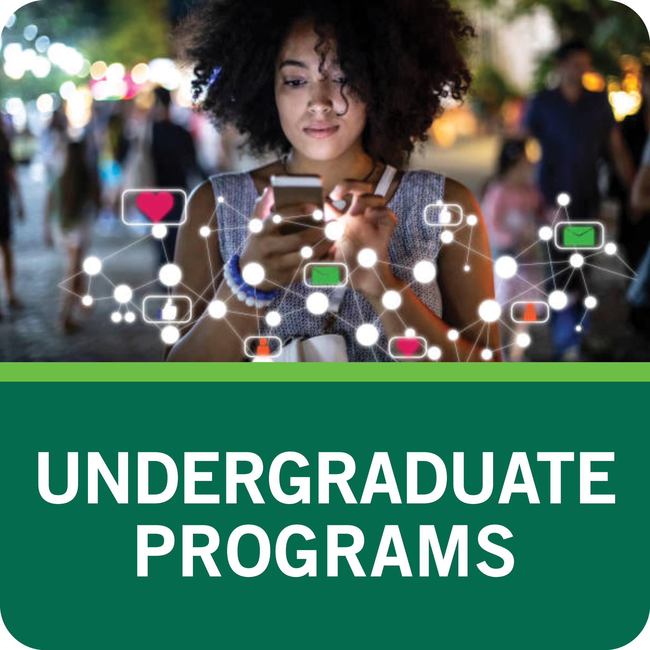 Undergraduate Programs