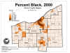 Percent Black 2000 Map