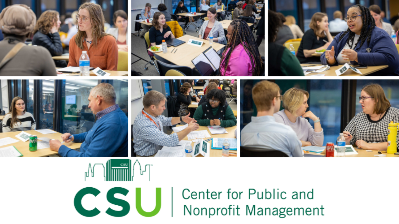 Center for Public Nonprofit Management Mentoring Program